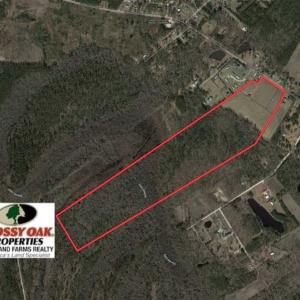 Photo of 108 acres of Hunting and Potential Development Land For Sale in Horry County SC!