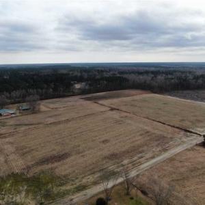 Photo of 108 acres of Hunting and Potential Development Land For Sale in Horry County SC!