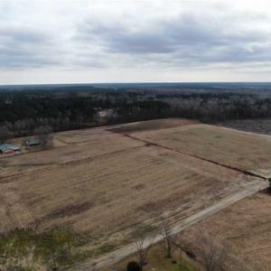 Photo of 108 acres of Hunting and Potential Development Land For Sale in Horry County SC!