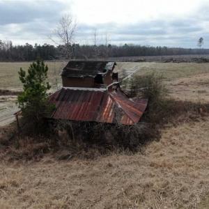Photo of 108 acres of Hunting and Potential Development Land For Sale in Horry County SC!