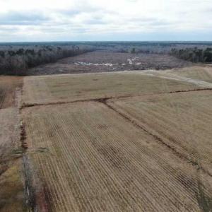 Photo of 108 acres of Hunting and Potential Development Land For Sale in Horry County SC!