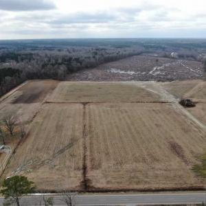 Photo of 108 acres of Hunting and Potential Development Land For Sale in Horry County SC!