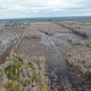 Photo of 108 acres of Hunting and Potential Development Land For Sale in Horry County SC!