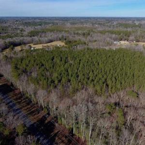 Photo of UNDER CONTRACT!!  25.07 Acres of Residential and Timber Land For Sale in Nash County NC!