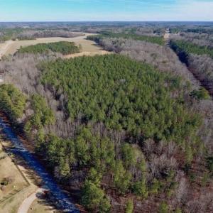 Photo of UNDER CONTRACT!!  25.07 Acres of Residential and Timber Land For Sale in Nash County NC!