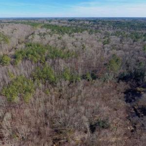 Photo of UNDER CONTRACT!!  25.07 Acres of Residential and Timber Land For Sale in Nash County NC!
