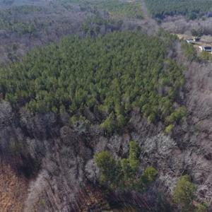 Photo of UNDER CONTRACT!!  25.07 Acres of Residential and Timber Land For Sale in Nash County NC!