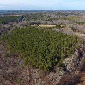 Photo of UNDER CONTRACT!!  25.07 Acres of Residential and Timber Land For Sale in Nash County NC!