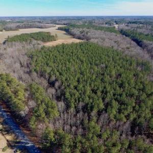 Photo of UNDER CONTRACT!!  25.07 Acres of Residential and Timber Land For Sale in Nash County NC!