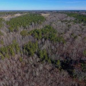 Photo of UNDER CONTRACT!!  25.07 Acres of Residential and Timber Land For Sale in Nash County NC!