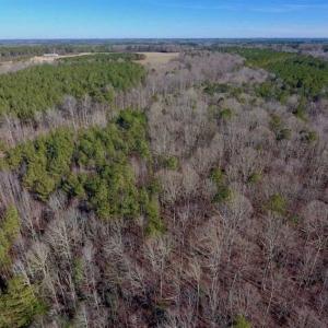 Photo of UNDER CONTRACT!!  25.07 Acres of Residential and Timber Land For Sale in Nash County NC!