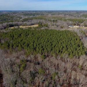 Photo of UNDER CONTRACT!!  25.07 Acres of Residential and Timber Land For Sale in Nash County NC!