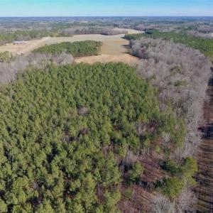 Photo of UNDER CONTRACT!!  25.07 Acres of Residential and Timber Land For Sale in Nash County NC!