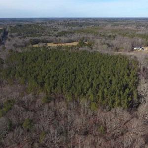 Photo of UNDER CONTRACT!!  25.07 Acres of Residential and Timber Land For Sale in Nash County NC!