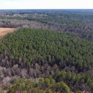 Photo of UNDER CONTRACT!!  25.07 Acres of Residential and Timber Land For Sale in Nash County NC!