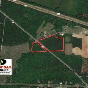 Photo of UNDER CONTRACT!!  25.07 Acres of Residential and Timber Land For Sale in Nash County NC!