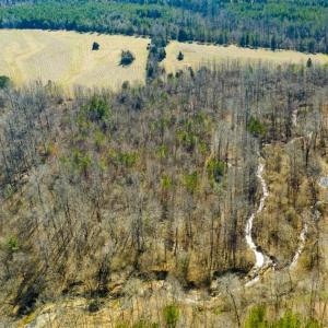Photo of 100.29 + / -  acres of Farm and Recreational Land with House for Sale in Vance County NC!