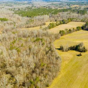 Photo of 100.29 + / -  acres of Farm and Recreational Land with House for Sale in Vance County NC!