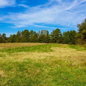 Photo of 100.29 + / -  acres of Farm and Recreational Land with House for Sale in Vance County NC!