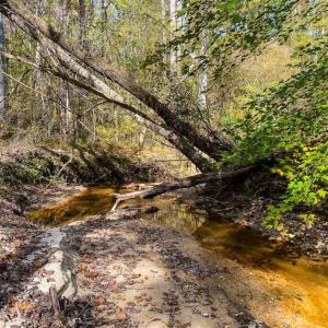 Photo of 100.29 + / -  acres of Farm and Recreational Land with House for Sale in Vance County NC!