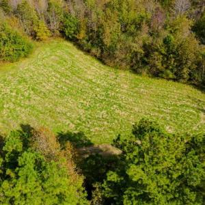 Photo of 100.29 + / -  acres of Farm and Recreational Land with House for Sale in Vance County NC!
