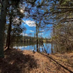 Photo of 100.29 + / -  acres of Farm and Recreational Land with House for Sale in Vance County NC!