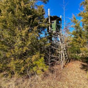 Photo of 100.29 + / -  acres of Farm and Recreational Land with House for Sale in Vance County NC!