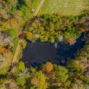 Photo of 100.29 + / -  acres of Farm and Recreational Land with House for Sale in Vance County NC!