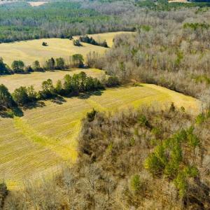 Photo of 100.29 + / -  acres of Farm and Recreational Land with House for Sale in Vance County NC!