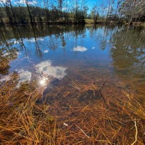 Photo of 100.29 + / -  acres of Farm and Recreational Land with House for Sale in Vance County NC!