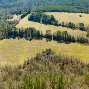 Photo of 100.29 + / -  acres of Farm and Recreational Land with House for Sale in Vance County NC!