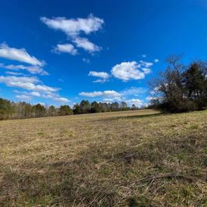 Photo of 100.29 + / -  acres of Farm and Recreational Land with House for Sale in Vance County NC!
