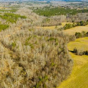 Photo of 100.29 + / -  acres of Farm and Recreational Land with House for Sale in Vance County NC!
