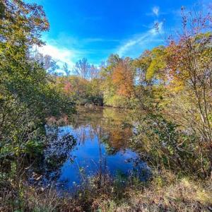 Photo of 100.29 + / -  acres of Farm and Recreational Land with House for Sale in Vance County NC!