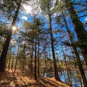 Photo of 100.29 + / -  acres of Farm and Recreational Land with House for Sale in Vance County NC!