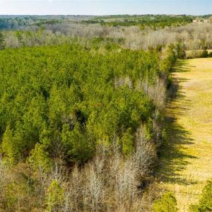 Photo of 100.29 + / -  acres of Farm and Recreational Land with House for Sale in Vance County NC!
