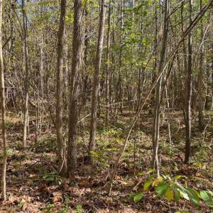 Photo of 100.29 + / -  acres of Farm and Recreational Land with House for Sale in Vance County NC!