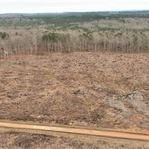 Photo of 10 + / -  acres of Residential/Timberland For Sale in Chatham County NC!