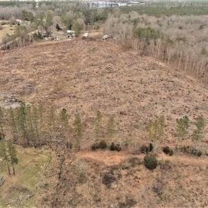 Photo of 10 + / -  acres of Residential/Timberland For Sale in Chatham County NC!
