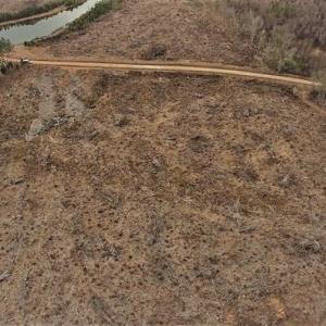 Photo of 10 + / -  acres of Residential/Timberland For Sale in Chatham County NC!