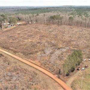 Photo of 10 + / -  acres of Residential/Timberland For Sale in Chatham County NC!