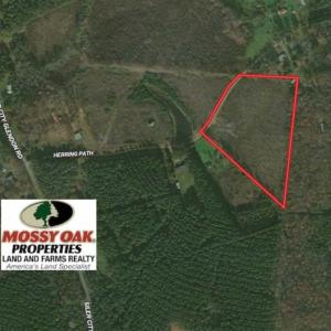 Photo of 10 + / -  acres of Residential/Timberland For Sale in Chatham County NC!