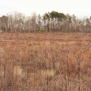 Photo of 10 + / -  acres of Residential/Timberland For Sale in Chatham County NC!