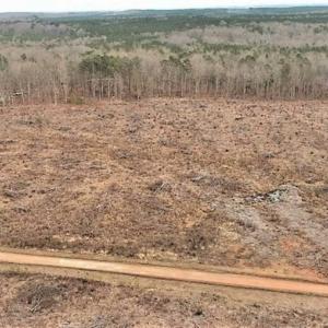 Photo of 10 + / -  acres of Residential/Timberland For Sale in Chatham County NC!