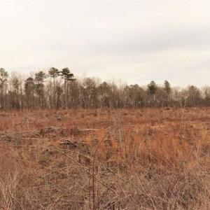 Photo of 10 + / -  acres of Residential/Timberland For Sale in Chatham County NC!
