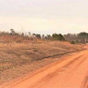 Photo of 16 + / -  acres of Residential/Timberland For Sale in Chatham County NC!