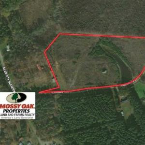Photo of 16 + / -  acres of Residential/Timberland For Sale in Chatham County NC!