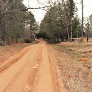 Photo of 16 + / -  acres of Residential/Timberland For Sale in Chatham County NC!
