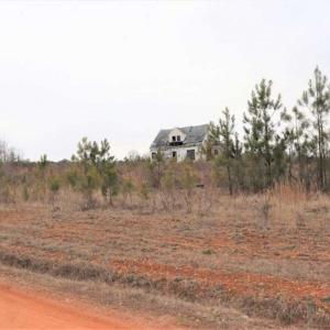 Photo of 16 + / -  acres of Residential/Timberland For Sale in Chatham County NC!