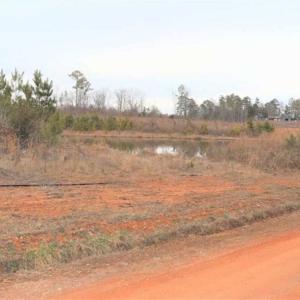 Photo of 16 + / -  acres of Residential/Timberland For Sale in Chatham County NC!